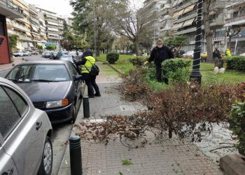 Καλλωπισμός και συντήρηση του πάρκου Γ. Παπανδρέου