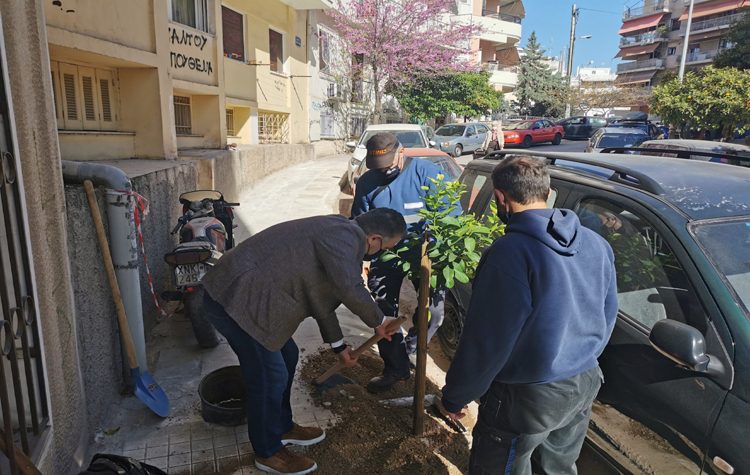 Ένα νέο δέντρο για την «αναγκαστική απώλεια» κάθε ενός δέντρου
