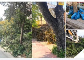 «Νίκη των Πολιτών»: «Κλαδιά, μπάζα και πολλά προβλήματα καθαριότητας στην πόλη»