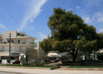 Σύλλογος Τσακού: Τέσσερα καίρια ζητήματα στο επίκεντρο συνάντησης με τον Β. Ζορμπά