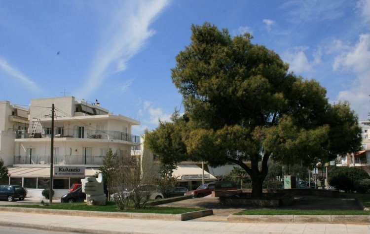 Σύλλογος Τσακού: Τέσσερα καίρια ζητήματα στο επίκεντρο συνάντησης με τον Β. Ζορμπά