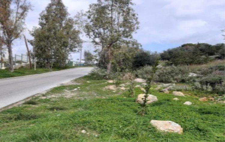 «Επιχείρηση» ενίσχυσης δασικού χαρακτήρα με 1500 δέντρα