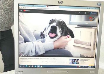 Εκπαιδευτικό πρόγραμμα για τα αδέσποτα ζώα σε σχολεία του Δήμου