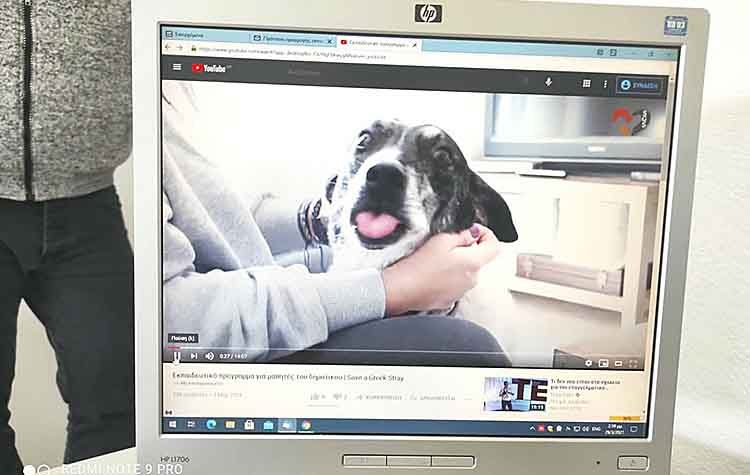 Εκπαιδευτικό πρόγραμμα για τα αδέσποτα ζώα σε σχολεία του Δήμου