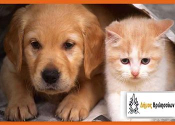 Δήμος Βριλησσίων: «Κάθε ημέρα είναι ημέρα προσφοράς και βοήθειας για τα αδέσποτα ζώα»