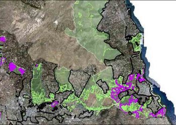 Ανάρτηση δασικών χαρτών στον Δήμο
