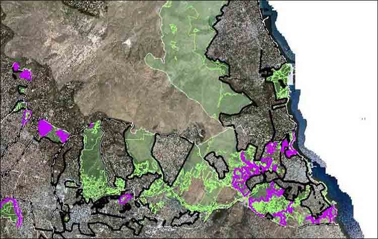 Ανάρτηση δασικών χαρτών στον Δήμο