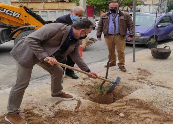 Δενδροφύτευση στις πλατείες Ελευθερίας και Αγίου Θεράποντα