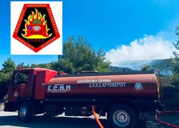 Κάλεσμα Εθελοντών Π.Π. Κρυονερίου: «Γίνε εθελοντής, βάλε το δικό σου λιθαράκι»