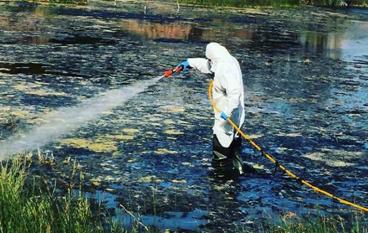 Σε εξέλιξη το πρόγραμμα καταπολέμησης κουνουπιών