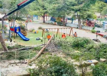 «Συλλήψεις στην Αγία Φιλοθέη για κοπή δέντρων - Δεν είναι φάρμακο η πριονοκορδέλα κ. Αμπατζόγλου»