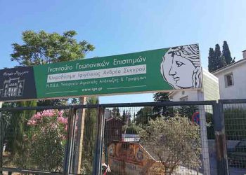 Νέος πρόεδρος του ΙΓΕ ο Διονύσης Κυριακόπουλος