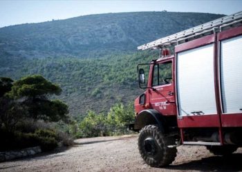 «Αντιπυρική» τηλεδιάσκεψη ΚΕΔΕ με Χρυσοχοΐδη - Χαρδαλιά