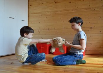 «Οι συγκρούσεις μεταξύ αδελφών και η στάση των γονέων»