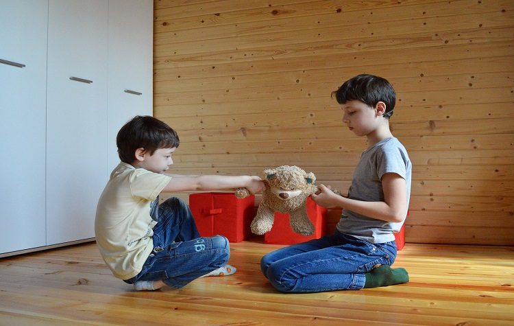 «Οι συγκρούσεις μεταξύ αδελφών και η στάση των γονέων»