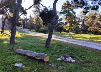 Νίκος Μπάμπαλος: Θα επαναφέρουμε την πρόταση μας για αγορά του κτήματος Φιξ