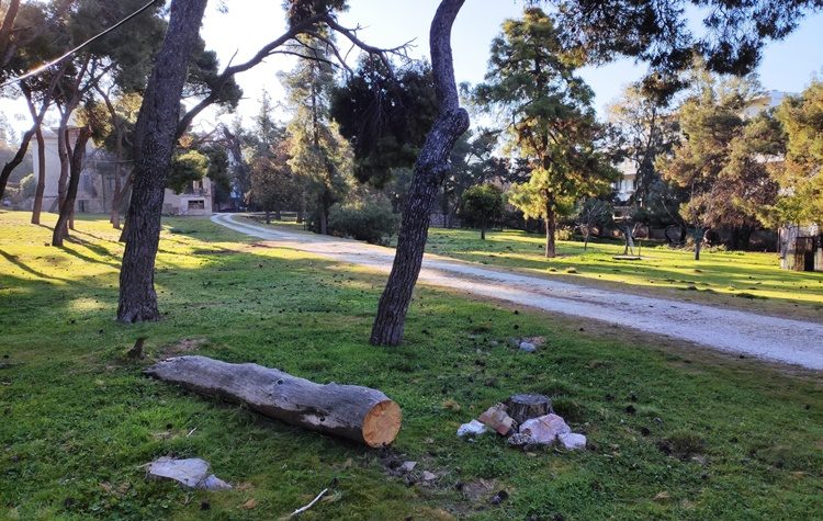 Νίκος Μπάμπαλος: Θα επαναφέρουμε την πρόταση μας για αγορά του κτήματος Φιξ