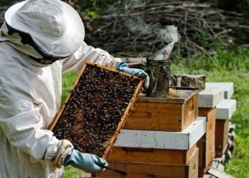 Ανακοίνωση του Δήμου προς τους μελισσοκόμους  για τον περιορισμό του κινδύνου εκδήλωσης πυρκαγιάς