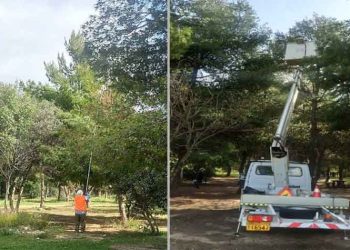 Καταπολέμηση κουνουπιών, κάμπιας και βαμβακίασης στο πάρκο «Αντώνης Τρίτσης»
