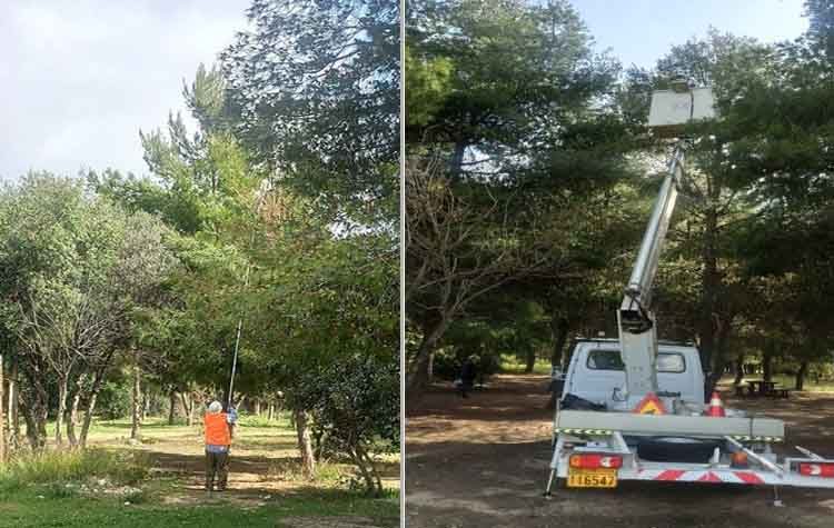 Καταπολέμηση κουνουπιών, κάμπιας και βαμβακίασης στο πάρκο «Αντώνης Τρίτσης»