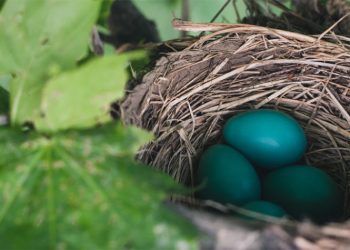 Πασχαλινές ευχές από τον Δήμο