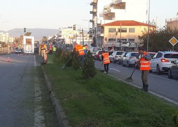 Καθαρισμός, βελτίωση και εγκατάσταση πρασίνου σε νησίδες κεντρικών οδών τη Μ. Εβδομάδα