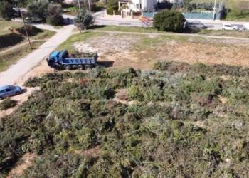 Α. Μουστόγιαννης: «172.600 ευρώ για κομμένα κλαδιά και δέντρα;»