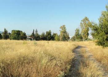 Κάλεσμα του Δήμου στους ιδιοκτήτες οικοπέδων και χωραφιών για άμεσο καθαρισμό