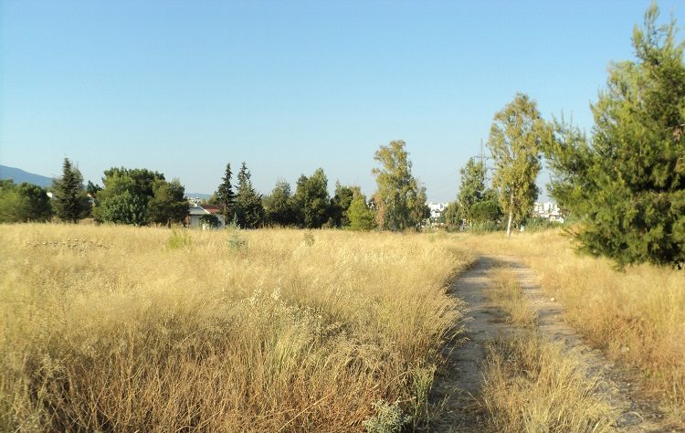 Κάλεσμα του Δήμου στους ιδιοκτήτες οικοπέδων και χωραφιών για άμεσο καθαρισμό