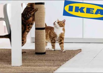 Η ΙΚΕΑ διακρίνεται στα Pet Awards 2021