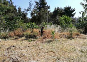 Εργασίες αποψιλώσεων στην Αγία Φιλοθέη επέβλεψε ο Θ. Αμπατζόγλου