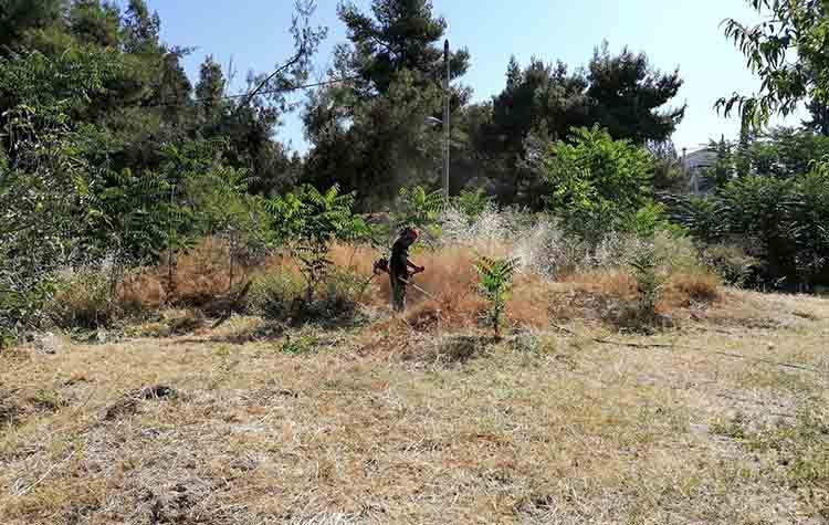 Εργασίες αποψιλώσεων στην Αγία Φιλοθέη επέβλεψε ο Θ. Αμπατζόγλου