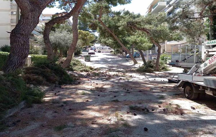 Εξωραϊσμός της πόλης και αντιπυρική προετοιμασία σε κοινόχρηστους χώρους