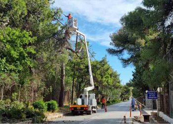 Συνεχίζονται οι εργασίες αποψίλωσης σε περιοχές του Δήμου