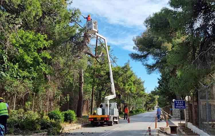 Συνεχίζονται οι εργασίες αποψίλωσης σε περιοχές του Δήμου