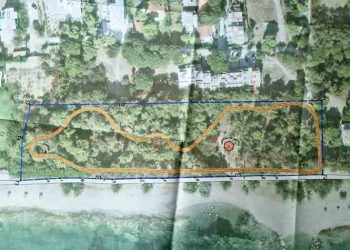 «Πράσινο φως» για την ανάπλαση του δασυλλίου Νέας Μάκρης