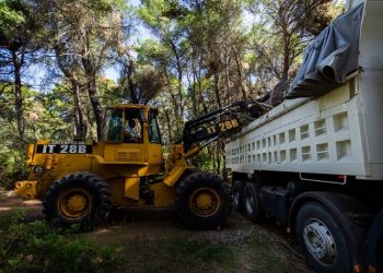 Περισσότερα από 40 φορτηγά καύσιμης ύλης απομακρύνθηκαν από τρία δάση