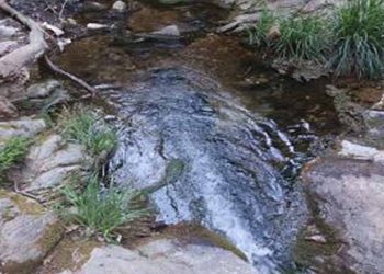 Επιστολή του Συλλόγου «Η Πεντέλη μας» στον Δήμο για την οριοθέτηση των ρεμάτων