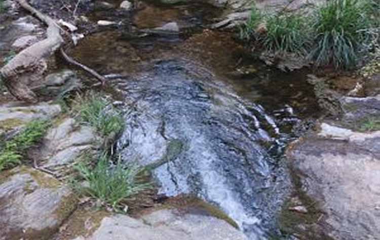 Επιστολή του Συλλόγου «Η Πεντέλη μας» στον Δήμο για την οριοθέτηση των ρεμάτων