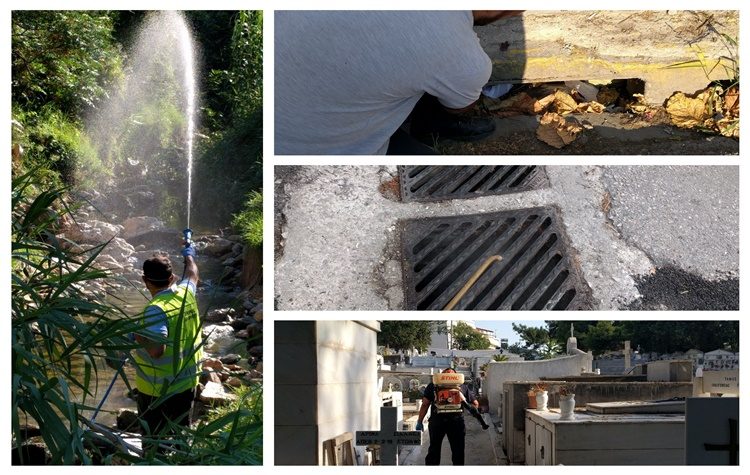 Δράσεις για την καταπολέμηση των κουνουπιών 2021