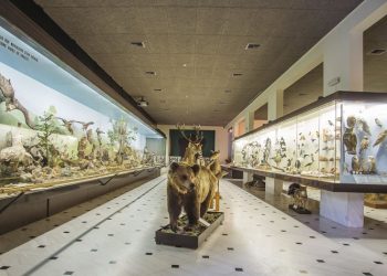 Κλειστό στις 27 Μαΐου το Μουσείο Γουλανδρή Φυσικής Ιστορίας