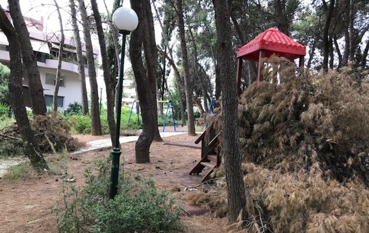 Φραντζέσκα Αλεξοπούλου: «Παιδική χαρά ή παιδική λύπη;»