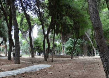 Δεντροφύτευση στις 16 Μαΐου στο πάρκο Καλαβρύτων