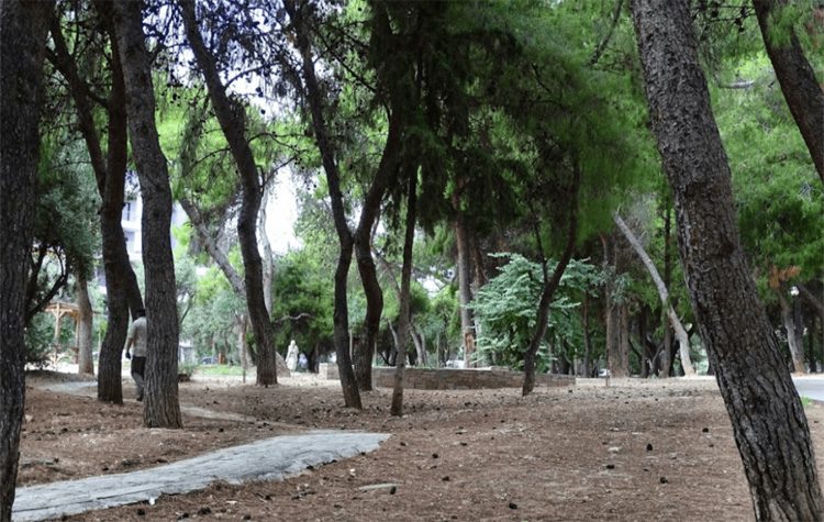 Δεντροφύτευση στις 16 Μαΐου στο πάρκο Καλαβρύτων