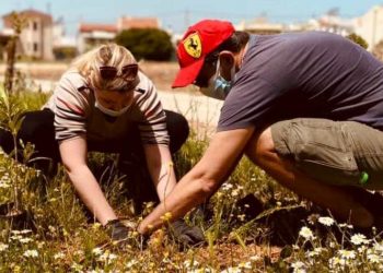 «Έπεσε» ο σπόρος για πιο πράσινα και καθαρά Πευκάκια (Εικόνες)
