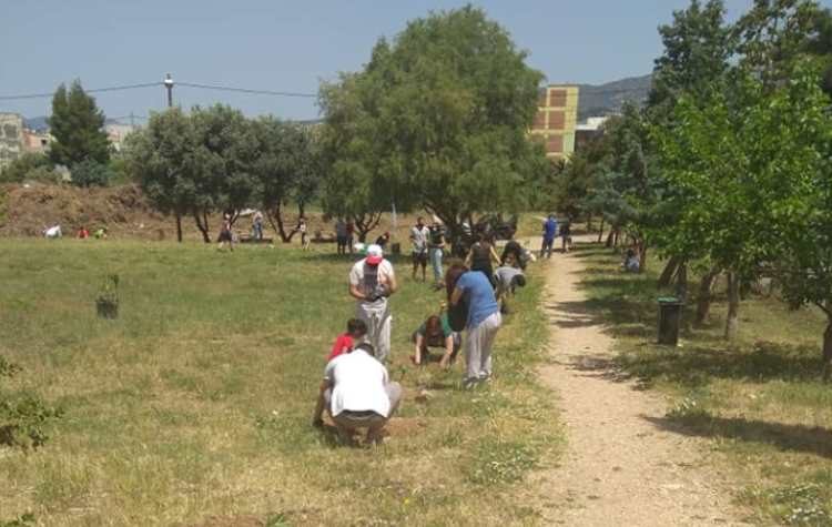 «Έπεσε» ο σπόρος για πιο πράσινα και καθαρά Πευκάκια (Εικόνες)