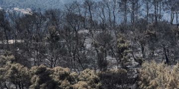Κρανίου τόπος τα Γεράνια Όρη - Στάχτη πάνω από 71.000 στρέμματα (Χάρτης-Βίντεο)