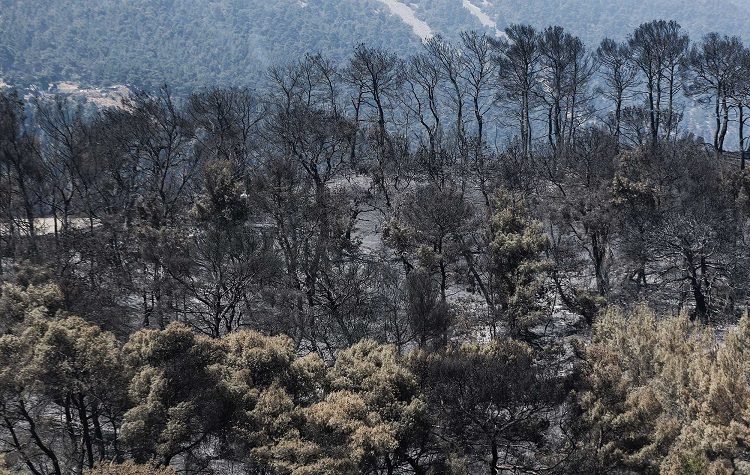 Κρανίου τόπος τα Γεράνια Όρη - Στάχτη πάνω από 71.000 στρέμματα (Χάρτης-Βίντεο)