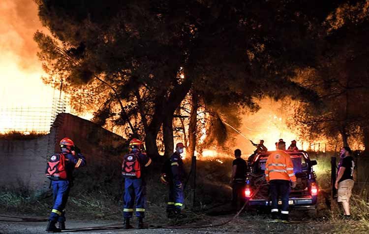 Πυρκαγιά στον Σχίνο Κορινθίας: Κάηκαν 20.000 στρέμματα