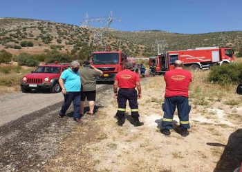 Άμεση η επέμβαση Δήμου και Πυροσβεστικής στην πυρκαγιά στο Πυρνάρι